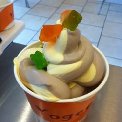 Yogeeze Frozen Yogurt - Cookies and Cream Twisted with Cake Batter