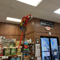 Buzz N B's Aquarium & Pet Shop - Inside
