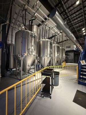 Galveston Island Brewing by null