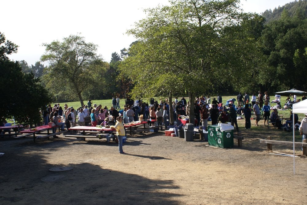 PADRE PICNIC AREA TILDEN PARK Updated August 2024 S Park Dr