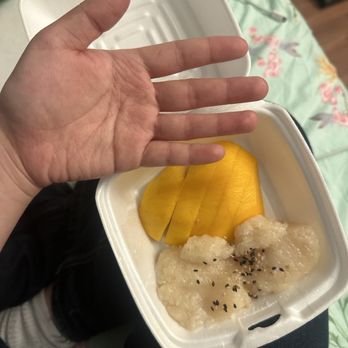 Ocha Thai Noodle - Mango Sticky Rice - Noodles Near Me - Pittsburgh, Pennsylvania