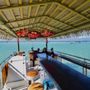 Photo of Tiki Taco Cruises