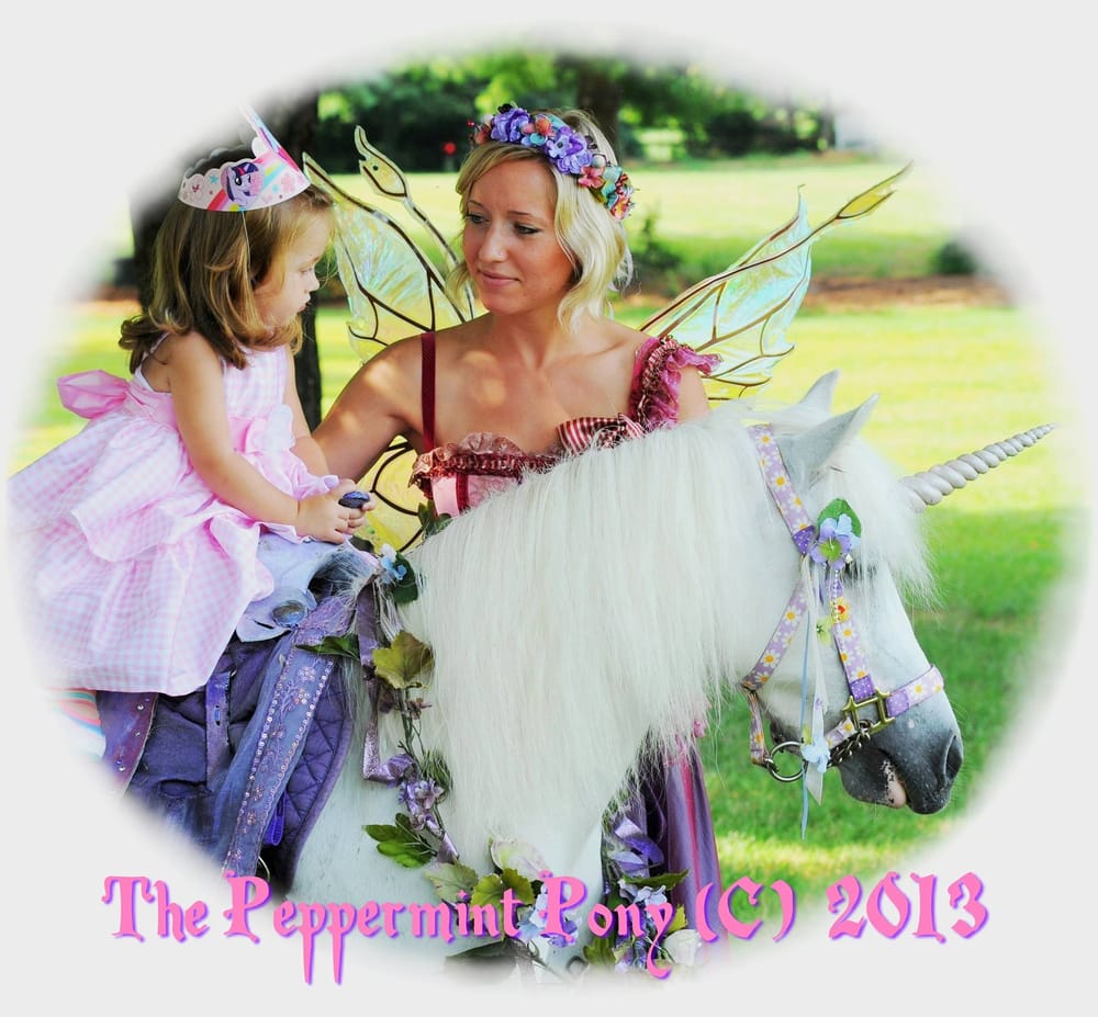 The Peppermint Pony - equestrian in Ellicott City, MD