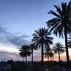 Santa Monica College - Bundy Campus - Beautiful view