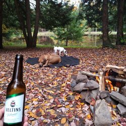 Willowemoc Campgrounds