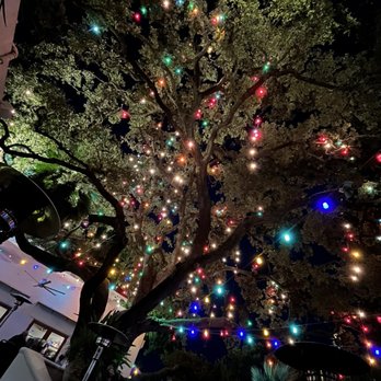 La Fonda on Main - Patio tree with lights - Mexican Near Me - San Antonio, Texas La Fonda on Main - Patio tree with lights - Mexican Near Me - San Antonio, Texas