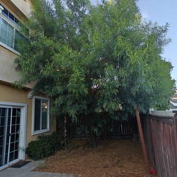 Brian’s landscape and maintenance - Here are some before and after photos - Tree Services Near Me Brian’s landscape and maintenance - Here are some before and after photos - Tree Services Near Me