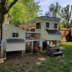 Ruffld Feathers Farm