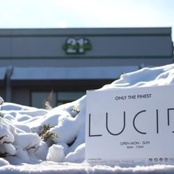 LUCID Auburn