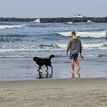 Optimal Dog Training - Pet Training Near Me