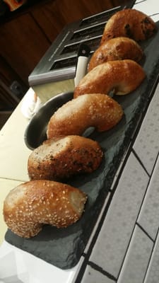 Bullfrog Bagels by null