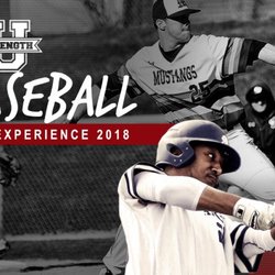 Strength U - Baseball Training is going on now. Contact us today to learn more!