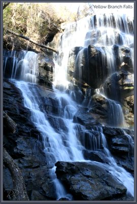 Yellow Branch Falls by null
