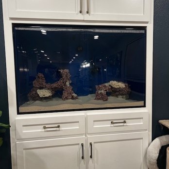 Tidy Tanks Aquarium - Aquarium Services Near Me Tidy Tanks Aquarium - Aquarium Services Near Me