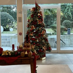 Hotel Mioni Royal San - Lobby