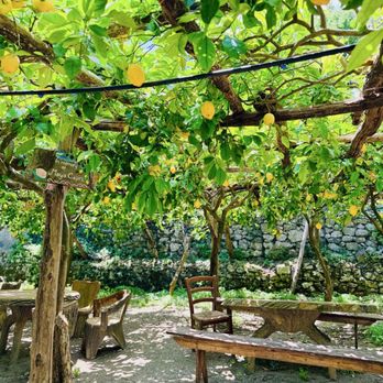 Amalfi Lemon Experience - Food Tours Near Me - Amalfi, SA