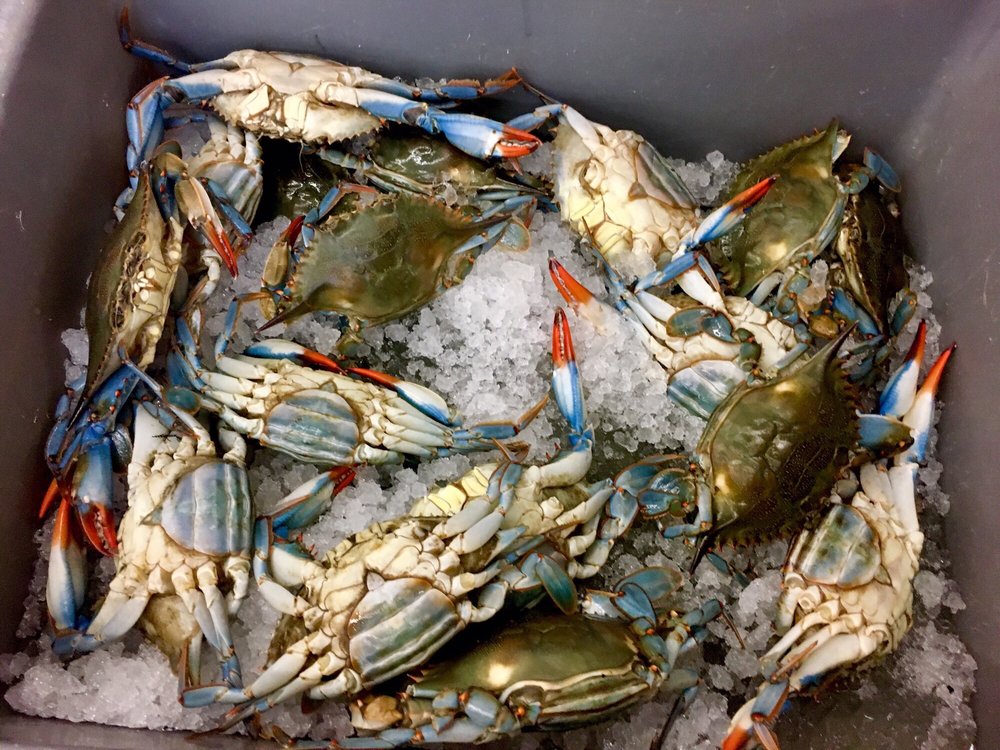 OCEAN MART 134 Photos & 89 Reviews International Grocery 115 W