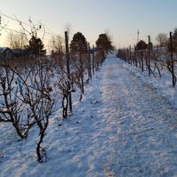 Crescent Moon Winery