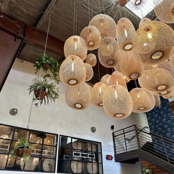 Salt  - Love the venue--height is wonderful. - Seafood Near Me - Arcata, California