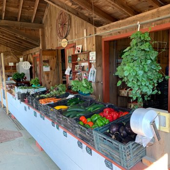 Reeve Farm - a display of fresh produce at a farmers market - Farmers Market Near Me - Riverhead, New York Reeve Farm - a display of fresh produce at a farmers market - Farmers Market Near Me - Riverhead, New York
