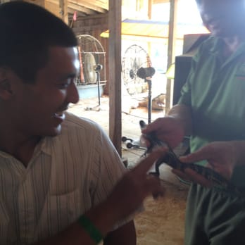 Insta-Gator Ranch & Hatchery - Pet the gator... - Tours Near Me - Covington, Louisiana Insta-Gator Ranch & Hatchery - Pet the gator... - Tours Near Me - Covington, Louisiana