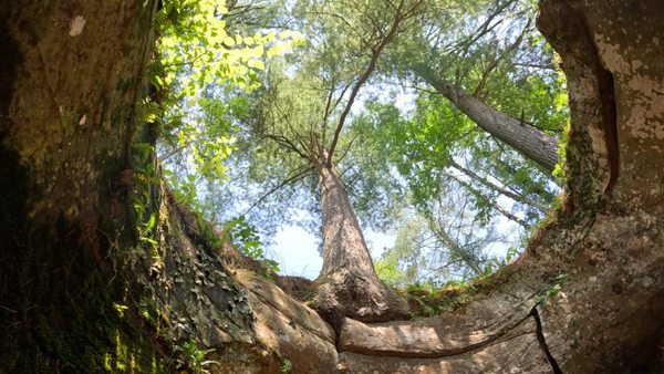 Hard Water Sports by null