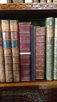 Charlecote Park by null