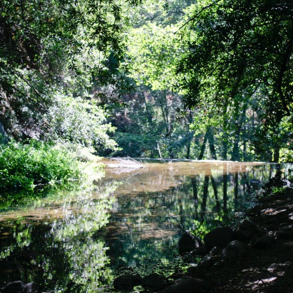 Santa Anita Canyon - Hiking Near Me Santa Anita Canyon - Hiking Near Me
