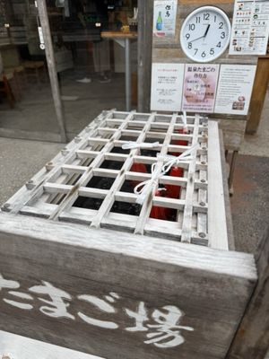 Goshonoyu Onsen by null