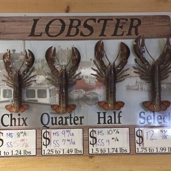 Free Range Fish & Lobster - Seafood Markets Near Me - Portland, Maine Free Range Fish & Lobster - Seafood Markets Near Me - Portland, Maine