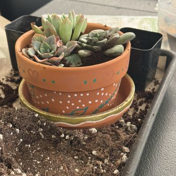 Rooting For You - A finished creation - Home Decor Near Me - Las Vegas, Nevada