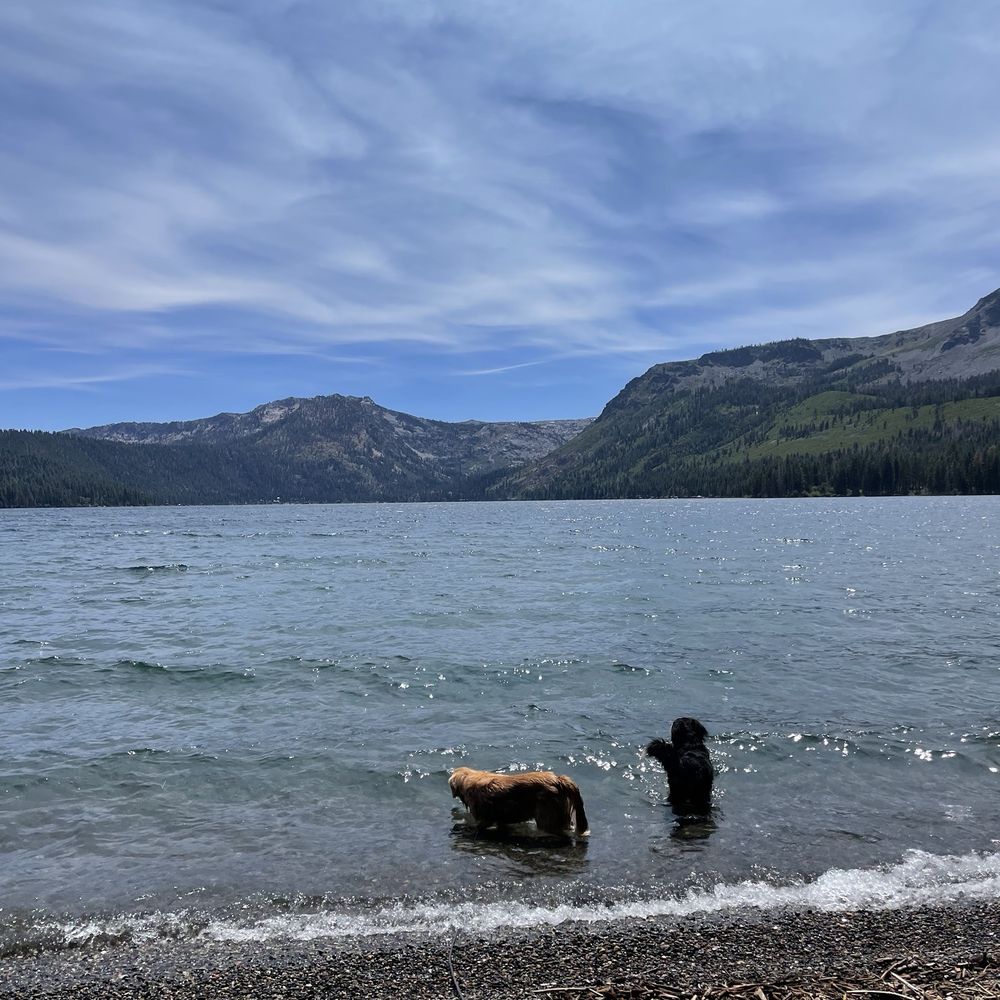 Fallen Leaf Campground - fallen leaf lake! - Campgrounds Near Me - South Lake Tahoe, California Fallen Leaf Campground - fallen leaf lake! - Campgrounds Near Me - South Lake Tahoe, California