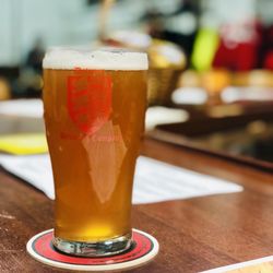Downey Brewing Company - R&R: Raspberry Radler