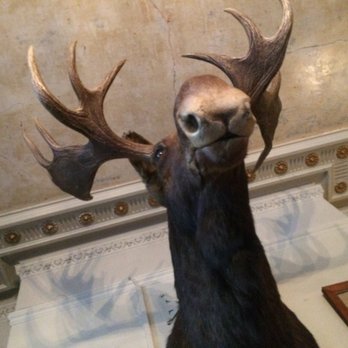 The Bull & Last - Bars Near Me - London, XGL