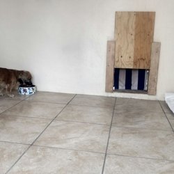 Lisa's Country Grooming - Inside of our large kennel!
