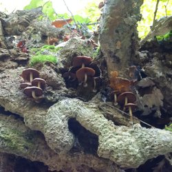 Hampton Hills Metro Parks