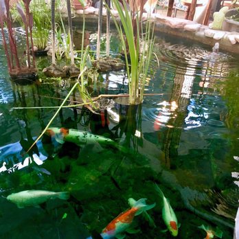 Dancing Cranes Imports - Koi pond - Arts & Crafts Near Me - Salt Lake City, Utah