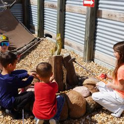 Bigfoot Fun Park - #BigfootFunPark #BransonsBestPlaceToPlay #BransonMiniGolf #MiniGolfMania #BransonMOPutt #PuttPuttBranson #BigfootGolfVibes #MiniGolfBransonM