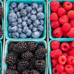 Harry's  Berries
