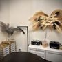 Photo of SILK Waxing Studio