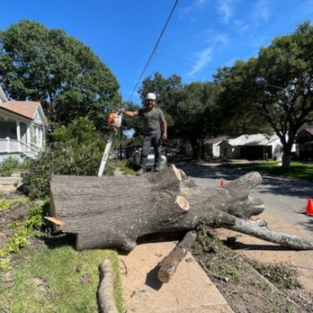 Garza Tree Trimming - Red oak This is the result of a dry tree due to bad cuts, the water was filtered, severely damaging the trunk. - Tree Services Near Me Garza Tree Trimming - Red oak This is the result of a dry tree due to bad cuts, the water was filtered, severely damaging the trunk. - Tree Services Near Me