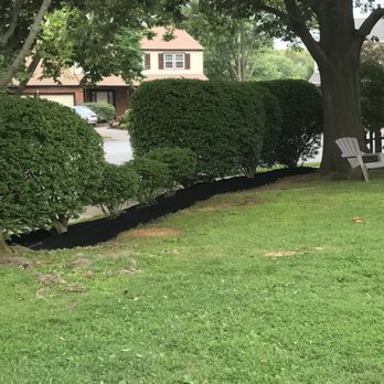 Ancone Landscaping - Our team completed some trimming finished off with new Black Mulch. - Landscaping Near Me Ancone Landscaping - Our team completed some trimming finished off with new Black Mulch. - Landscaping Near Me