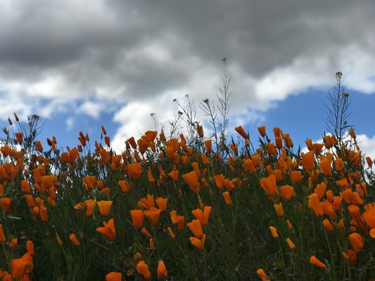 Walker Canyon by null