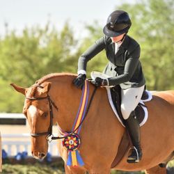 Switch Willo Stables
