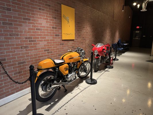 Black Salt & Black Sugar by null