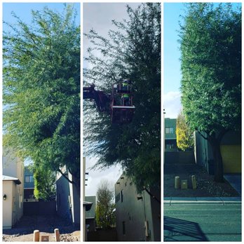 A to Z Grounds Keeping - a tree and a street - Landscaping Near Me A to Z Grounds Keeping - a tree and a street - Landscaping Near Me