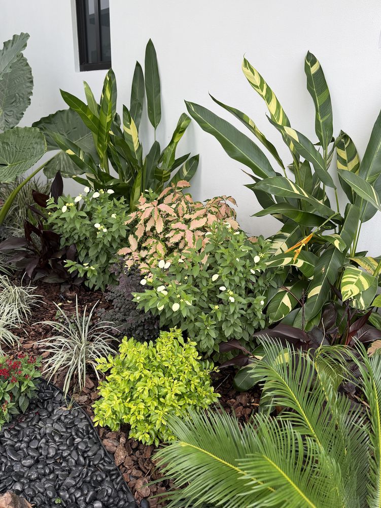 Nature Trim - tree service in Miami, FL