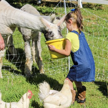 Heart N Soul Farm - Pet Breeders Near Me - Monroe, Washington