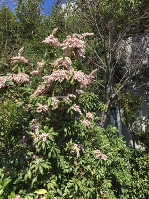 Acros Fukuoka by null