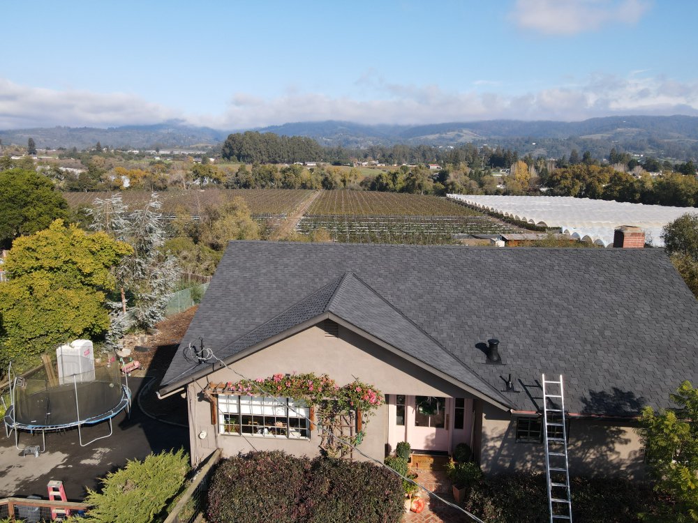 Slide of Pio’s Roofing